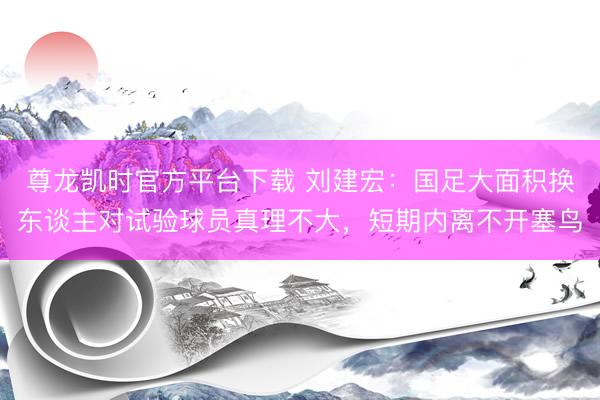 尊龙凯时官方平台下载 刘建宏：国足大面积换东谈主对试验球员真理不大，短期内离不开塞鸟