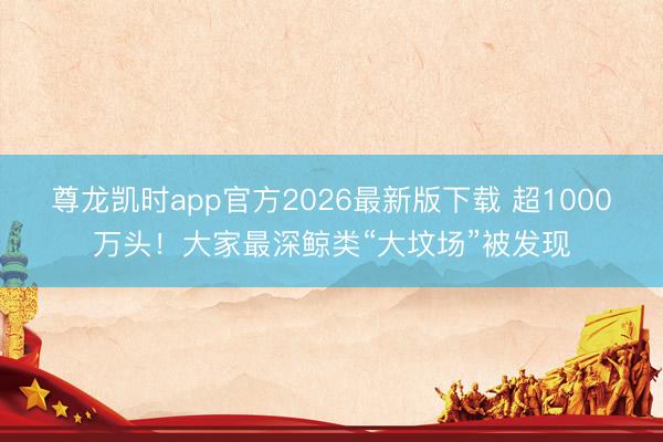 尊龙凯时app官方2026最新版下载 超1000万头!大家最深鲸类“大坟场”被发现