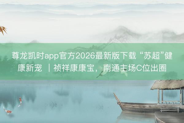尊龙凯时app官方2026最新版下载 “苏超”健康新宠 ｜祯祥康康宝，南通主场C位出圈