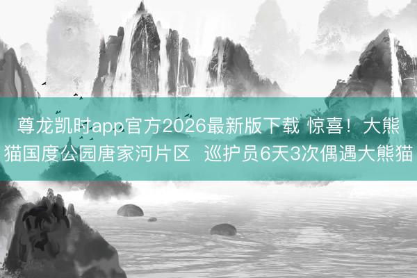 尊龙凯时app官方2026最新版下载 惊喜！大熊猫国度公园唐家河片区  巡护员6天3次偶遇大熊猫