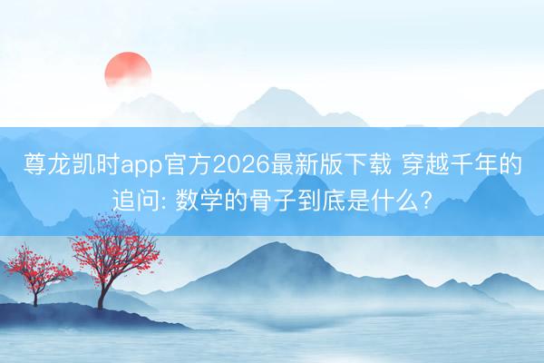 尊龙凯时app官方2026最新版下载 穿越千年的追问: 数学的骨子到底是什么?