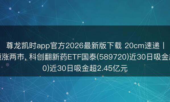 尊龙凯时app官方2026最新版下载 20cm速递丨创业板指领涨两市， 科创翻新药ETF国泰(589720)近30日吸金超2.45亿元
