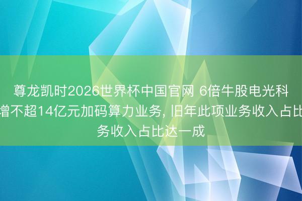尊龙凯时2026世界杯中国官网 6倍牛股电光科技拟定增不超14亿元加码算力业务， 旧年此项业务收入占比达一成