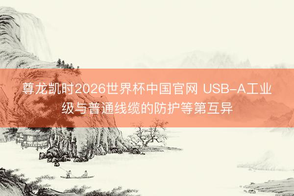 尊龙凯时2026世界杯中国官网 USB-A工业级与普通线缆的防护等第互异